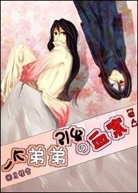 (獵人同人)一個弟弟引發的血案