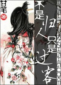 不是归人,只是过客