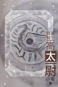 《我家有個高太尉》