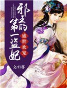 盛世歡寵:邪王的第一盜妃
