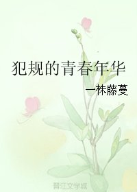 犯規的青春年華/這種感情是不是愛