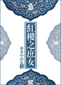 (红楼同人)红楼之庶女