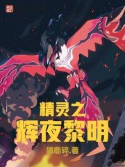 《(寵物小精靈)精靈之輝夜黎明》