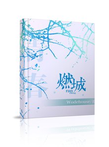 《燃城》