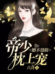 婚不设防:帝少枕上宠