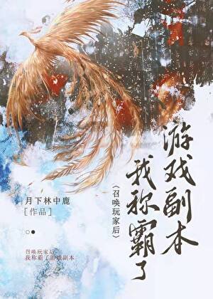 召唤玩家,称霸副本