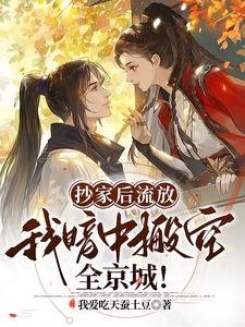 抄家後流放,我暗中搬空全京城!