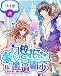 豪門校花VS黑道霸少